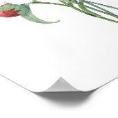 HÖCHSTE QUALITÄT Botanischer Ausdruck der Nelken Poster (Ecke)