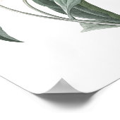 HÖCHSTE QUALITÄT Botanischer Ausdruck von Peony Poster (Ecke)