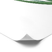 HÖCHSTE QUALITÄT Botanischer Ausdruck von Tuberose Poster (Ecke)