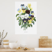 HÖCHSTE QUALITÄT Botanischer Ausdruck von Viola Tr Poster (Küche)