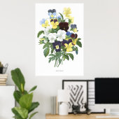 HÖCHSTE QUALITÄT Botanischer Ausdruck von Viola Tr Poster (Heimbüro)