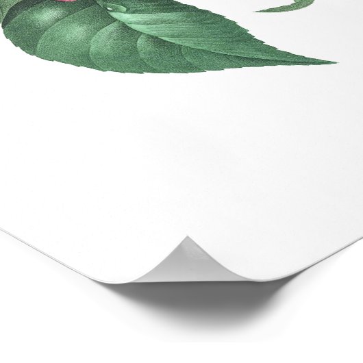 HÖCHSTE QUALITÄT Botanischer Druck in Kamelien Poster (Ecke)