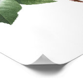 HÖCHSTE QUALITÄT Botanischer Druck in Kamelien Poster (Ecke)