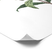 HÖCHSTE QUALITÄT Botanischer Druck von Snapdragon Poster (Ecke)