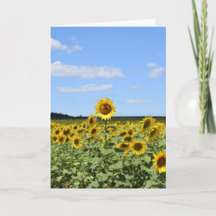 Höchste Sonnenblume - Inspirationsgrüßkarte Karte