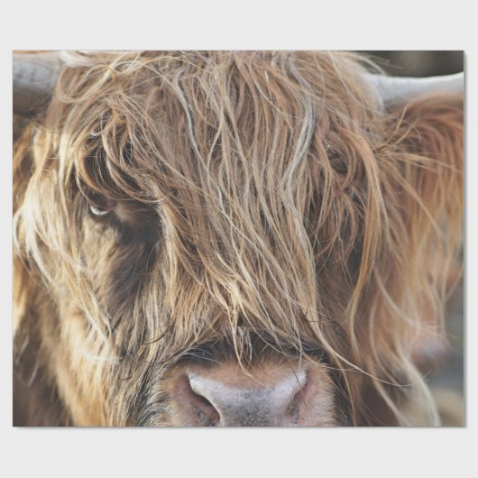 HÖCHSTER RINDFLEISCH GESCHENKPAPIER (Flach)