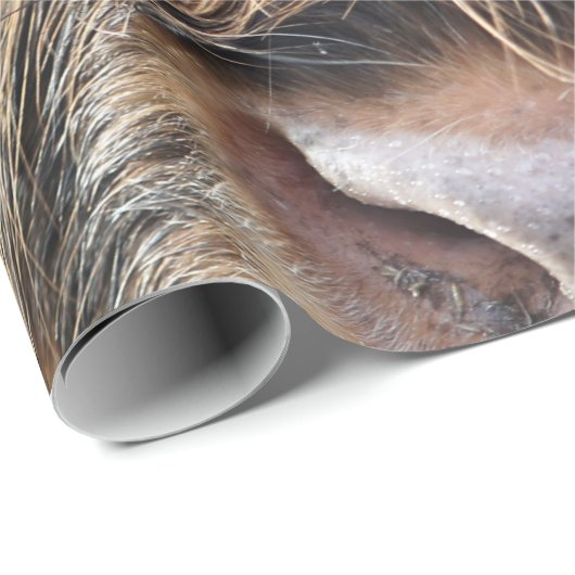 HÖCHSTER RINDFLEISCH GESCHENKPAPIER (Rolleneckpunkt)