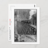 Höchster Single, der in der Welt Bäume schmiegt Postkarte (Vorne/Hinten)