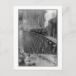 Höchster Single, der in der Welt Bäume schmiegt Postkarte