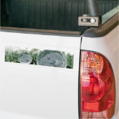 Hochwasser Repellency des Lotus-Effektes Autoaufkleber (Auf Lkw)