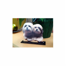 Hochwertige kundenspezifische AcrylFoto-Skulptur