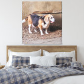 Hochwertiger Beagle, Daisy Elizabeth auf Spazierga Leinwanddruck (Insitu (Schlafzimmer))