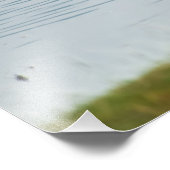 Hochwertiges Foto Druck Pelikane, Nakuru-See (Ecke)