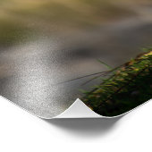 Hochwertiges Foto Druck von Gänsen durch Fluss (Ecke)