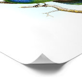 HOCHWERTIGES Poster von Trochilus Hummingbirds (Ecke)