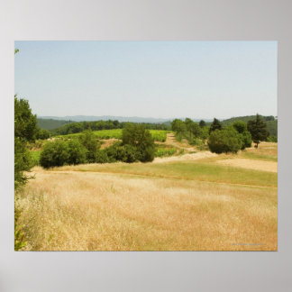 Hochwinkelaufnahme eines Feldes, Provinz Siena, 2 Poster