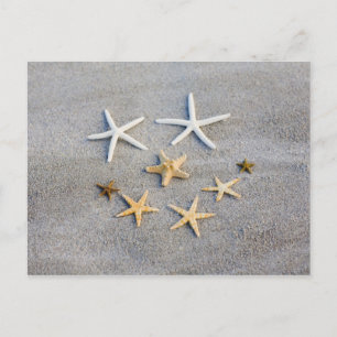 Hochwinkelaufnahme eines Seesterfisches am Strand Postkarte