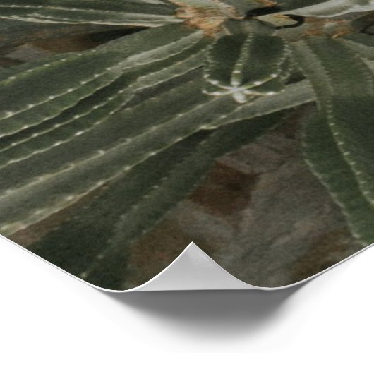 Hochwinkelfotografie des Außenpools Poster (Ecke)