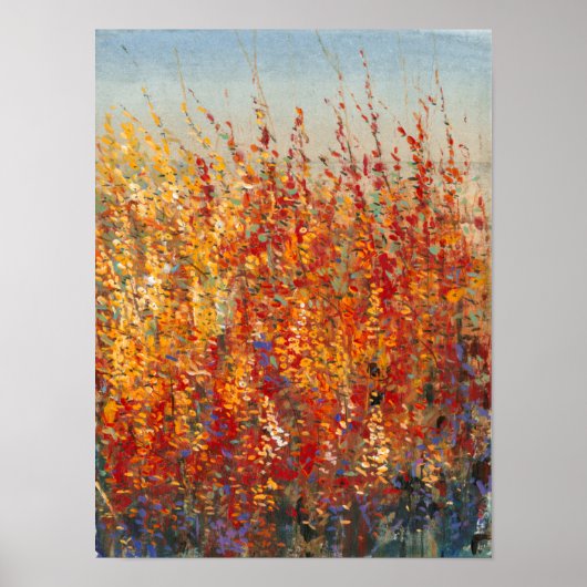 Hochwüstenblüten II Poster (Vorne)