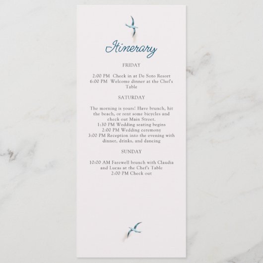 Hochzeit am Küstenstrand Programm (Rückseite)