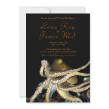 Hochzeit am Strand des Tiefen Ozeans