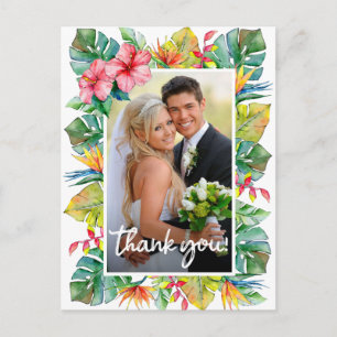 Hochzeit Danke   Foto an der Tropengrenze Postkarte