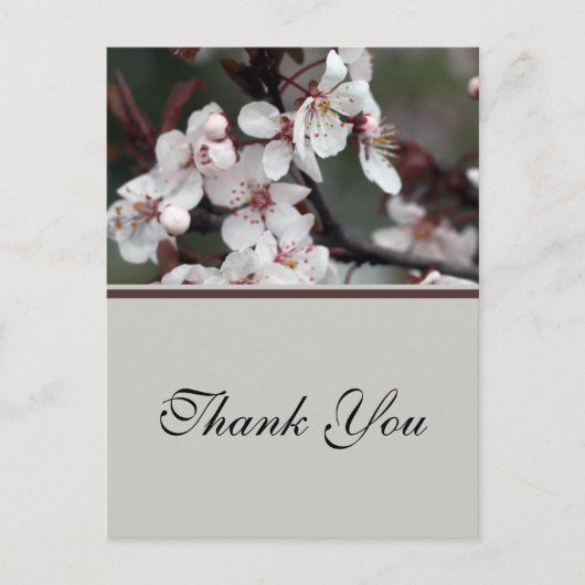 Hochzeit danke Ihnen Aufkleber, Karte, etc. Postkarte (Vorderseite)