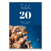 Hochzeit der Küstenfische von Marinefischen Tischnummer (Vorderseite)