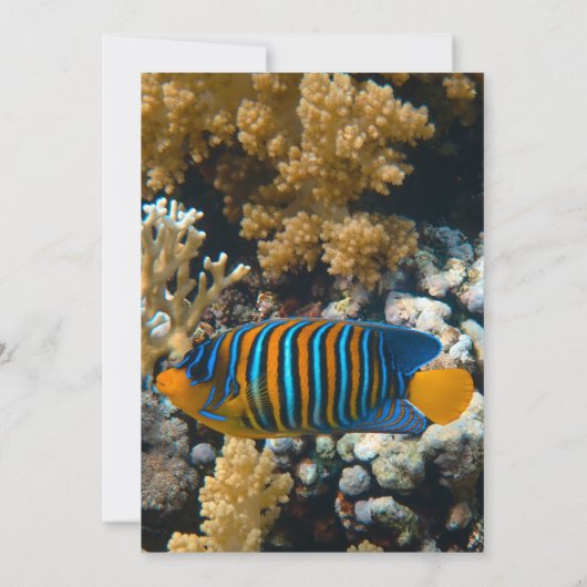 Hochzeit der Marine unter dem Meer Einladung (Rückseite)