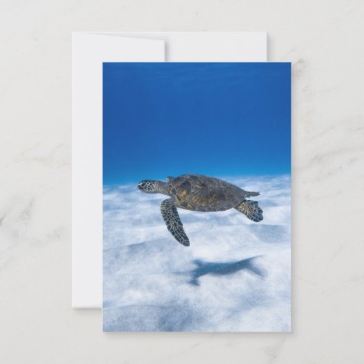Hochzeit der Meeresschildkrötenküste unter Wasser RSVP Karte (Rückseite)