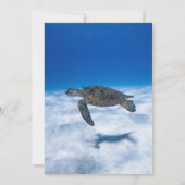 Hochzeit der Navy Underwater Aquatic Turtle Coasta Einladung (Rückseite)