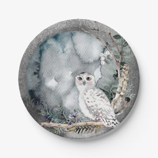 Hochzeit der Wasserfarbenwelt "Winter Snow Owl Moo Pappteller (Vorderseite)