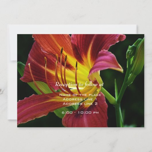 Hochzeit, Einladung von Braut (Rückseite)