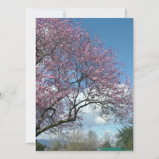 Hochzeit, Eltern des Bräutigams Einladung Kirschbl (Rückseite)