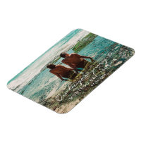 Hochzeit Flitterwochen Weißes Skript Ziel