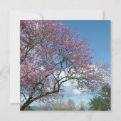 Hochzeit, Groom Eltern Einladung Kirschbaum (Rückseite)