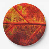 Hochzeit im Herbst Herbst Rustikales Leaf Foto Nah Pappteller (Vorderseite)