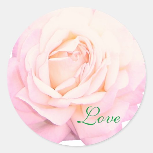 Hochzeit Liebe Rosa Stiker Runder Aufkleber (Vorderseite)