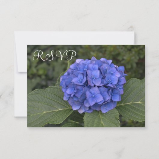 Hochzeit RSVP Cards Blue Hydrangea Floral (Vorderseite)