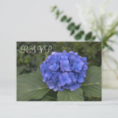 Hochzeit RSVP Cards Blue Hydrangea Floral Karte (Stehend Vorderseite)
