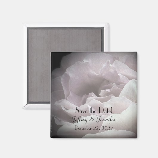 Hochzeit speichern Sie das Datum bleich rosa Rose Magnet (Vorderseite/Rückseite)