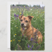 Hochzeit speichern Sie das Datum Einladungen Hund (Rückseite)