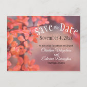 Hochzeit speichern Sie das Datum Herbst lässt Boke Postkarte (Vorderseite)