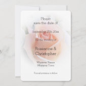 Hochzeit speichern Sie das Datum Pfirsichfarben-Ro Save The Date (Rückseite)