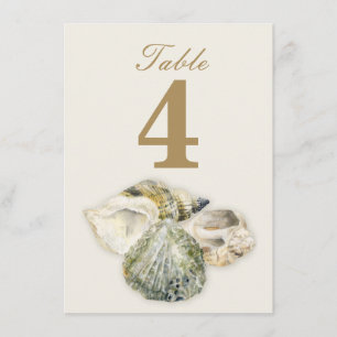 Hochzeit Tischnummern aus Meeresmuscheln