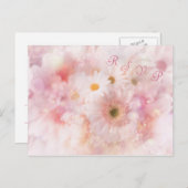 Hochzeit. UAWG. Daisies und Gerbera Postcard Einladungspostkarte (Vorne/Hinten)