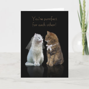 Hochzeit / Verlobung Glückwunsch für Cat Lovers Karte