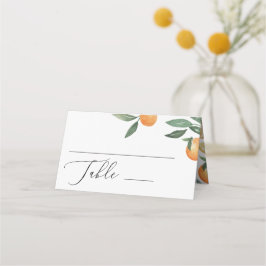 Hochzeit von Aquakulturzitrus. Sommergarten Platzkarte