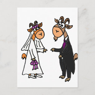 Hochzeit von Braut und Gräuelziege Postkarte