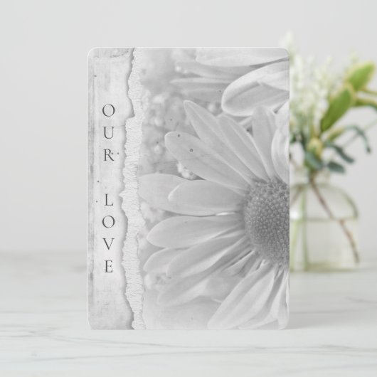 Hochzeit von Daisy-Macro mit Torn-Edge-Grenze Einladung (Stehend Vorderseite)